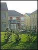 IMG_0341.jpg
