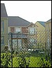 IMG_0342.jpg