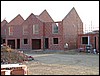 IMG_1386.jpg