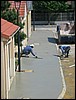 IMG_4197.jpg